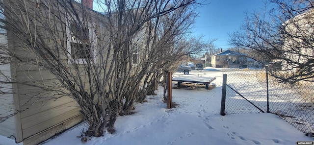 view of yard covered in snow