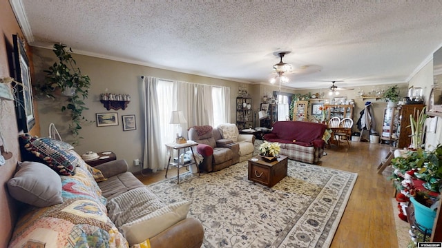 living room with ceiling fan, a textured ceiling, light hardwood / wood-style flooring, and ornamental molding