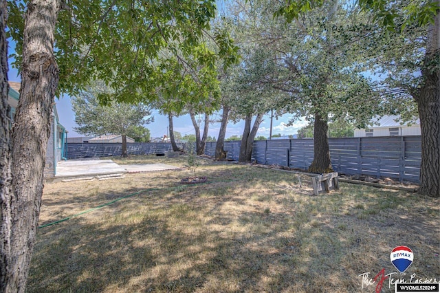 view of yard with a patio area