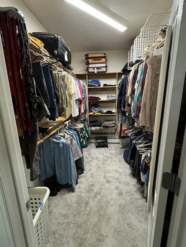 walk in closet featuring light carpet