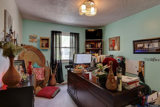 office space with light colored carpet and a textured ceiling