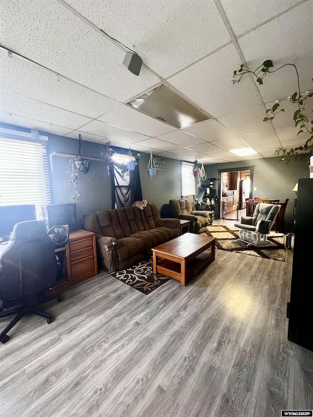 living room with a paneled ceiling and light wood-type flooring