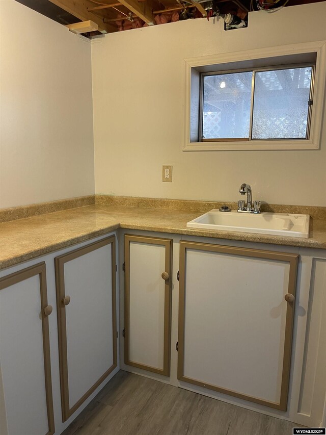 interior space featuring sink and wood-type flooring