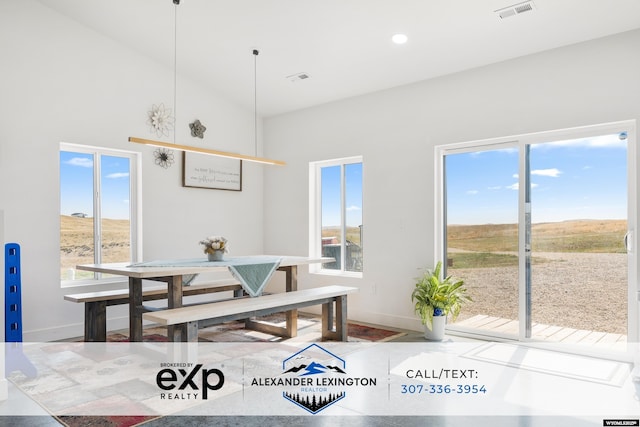 dining area with baseboards, visible vents, and a wealth of natural light