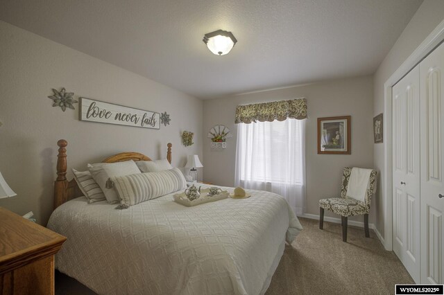 bedroom with carpet flooring and a closet