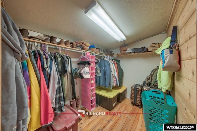 spacious closet with hardwood / wood-style floors