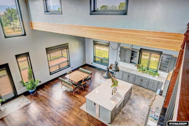 living room featuring dark hardwood / wood-style floors, a towering ceiling, and a wealth of natural light