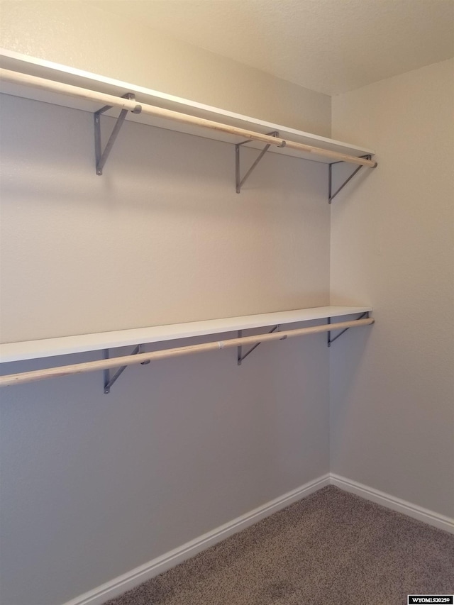 spacious closet with carpet