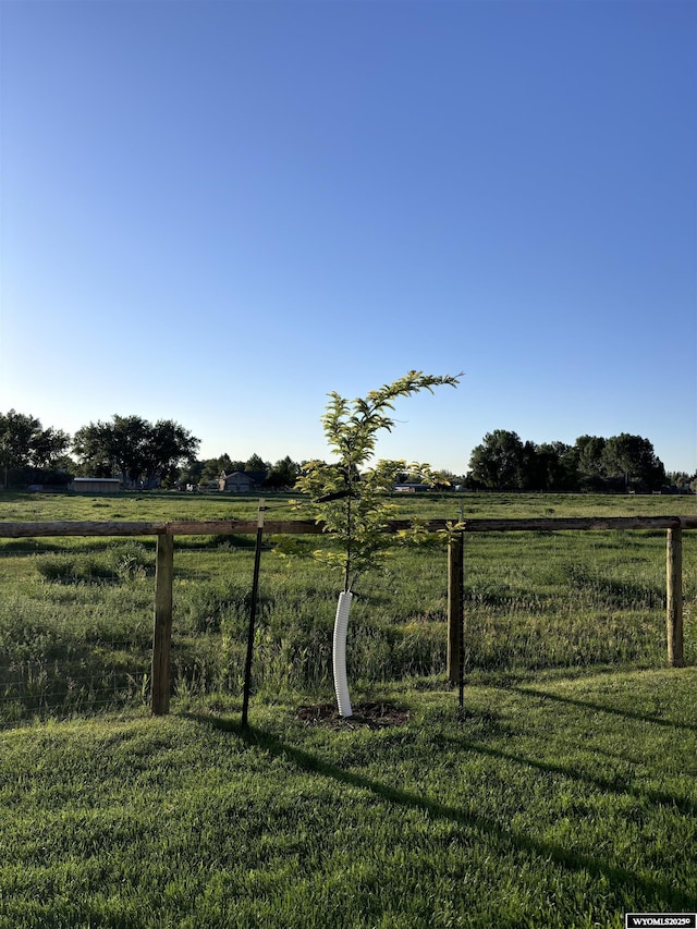 view of yard with a rural view