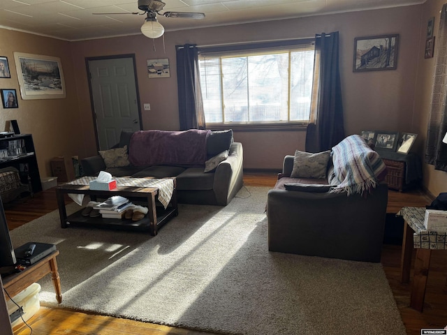 living room with ceiling fan, crown molding, and wood-type flooring