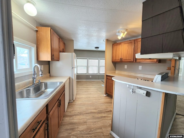 kitchen featuring a textured ceiling, light hardwood / wood-style floors, and sink