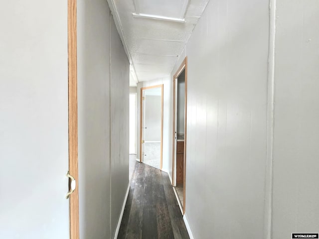 hallway featuring hardwood / wood-style flooring