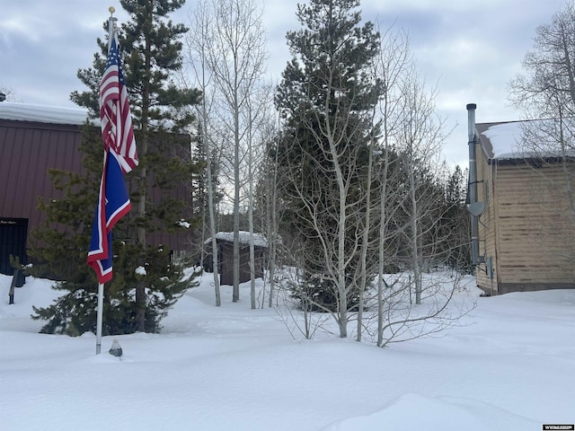 view of snowy yard