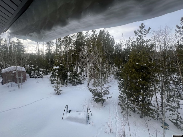 view of yard covered in snow