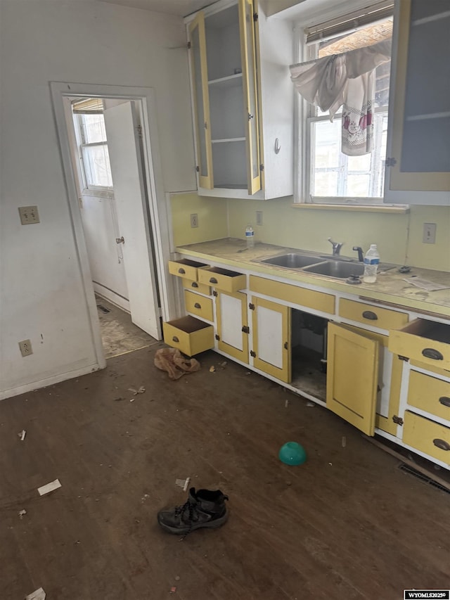 kitchen featuring a wealth of natural light and sink