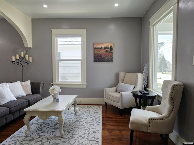 living room featuring dark hardwood / wood-style flooring