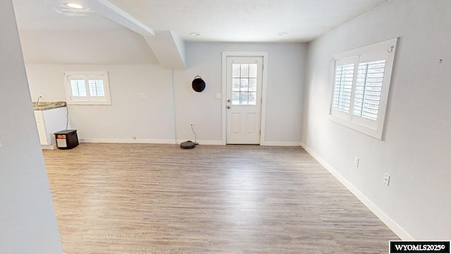 foyer featuring light wood-type flooring and a healthy amount of sunlight