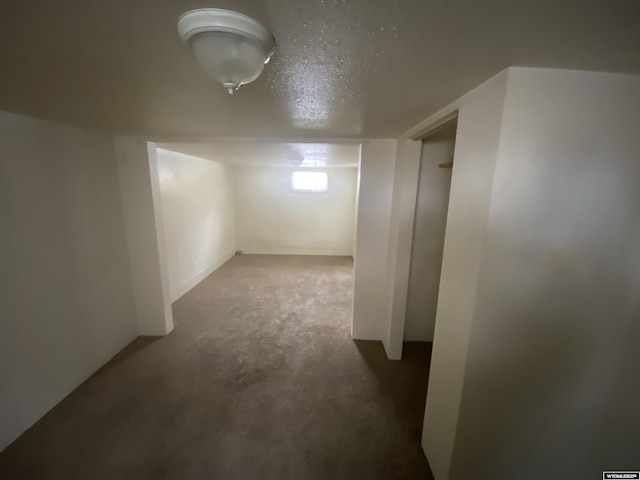 basement featuring carpet floors