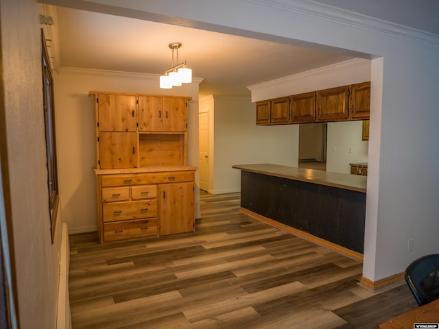 kitchen featuring a baseboard heating unit, dark hardwood / wood-style floors, crown molding, and pendant lighting