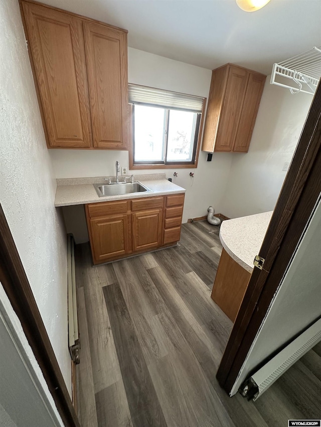 kitchen featuring dark wood-type flooring and sink