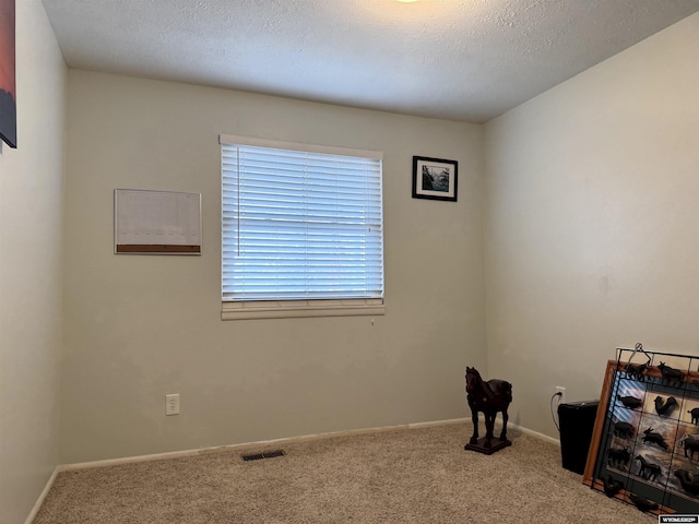 interior space with carpet flooring and a textured ceiling