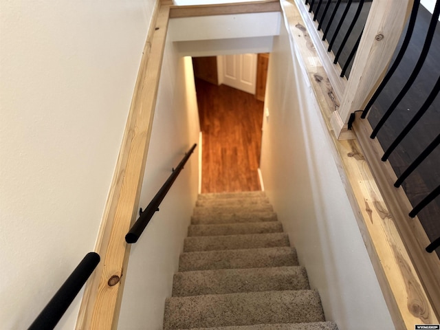 staircase featuring wood-type flooring