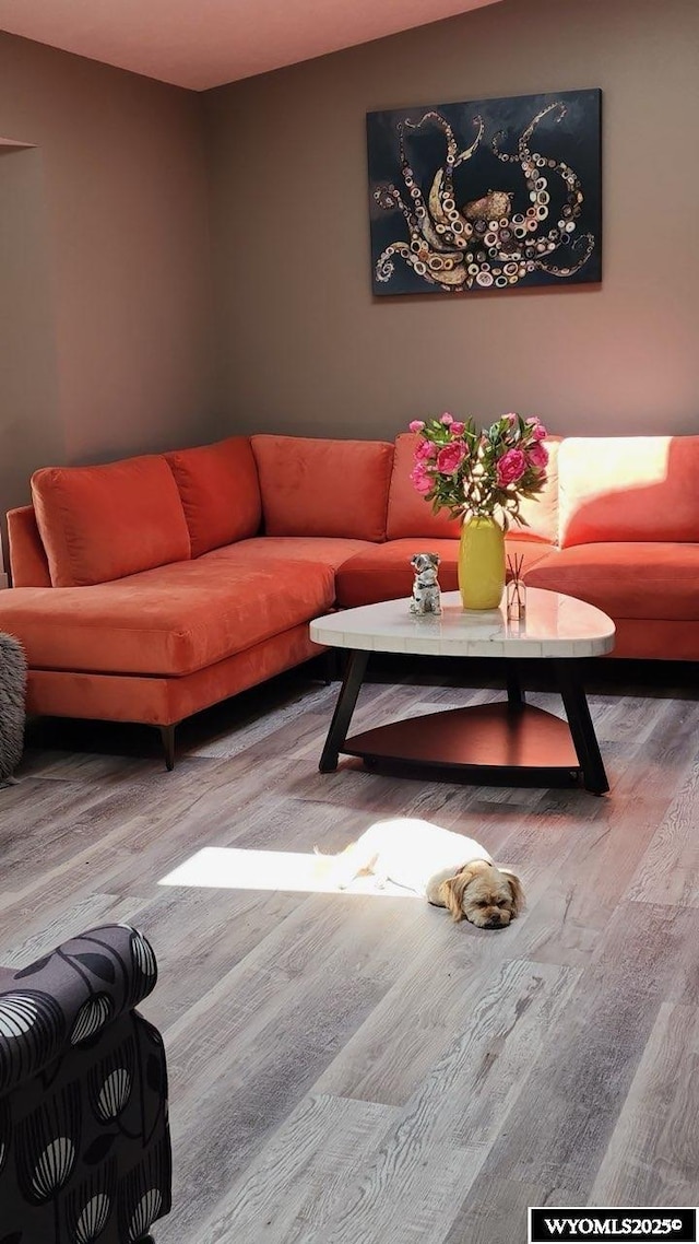 living room featuring hardwood / wood-style flooring