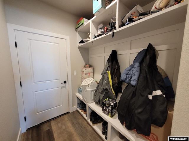 mudroom with dark wood-type flooring