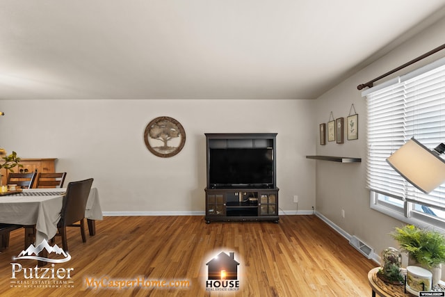 living room with hardwood / wood-style floors and a healthy amount of sunlight