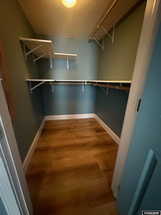 walk in closet featuring wood-type flooring