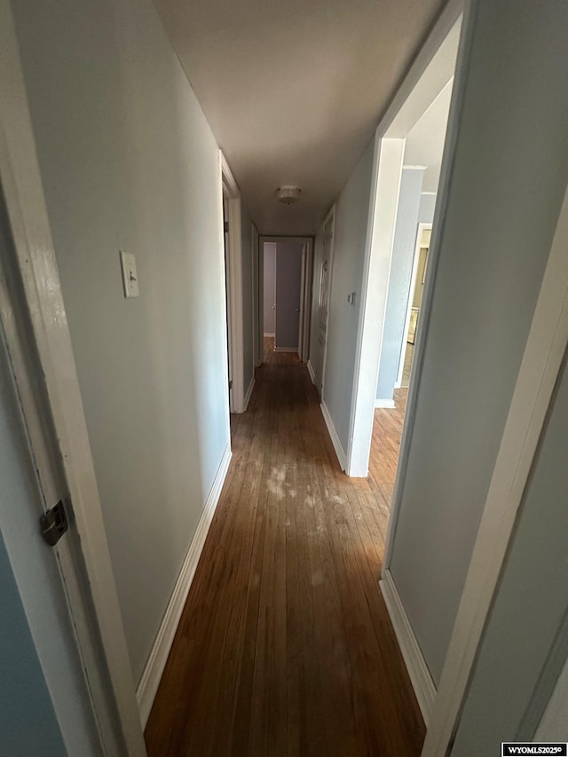 hallway featuring hardwood / wood-style floors