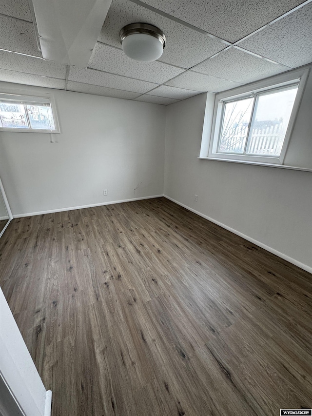 basement with a paneled ceiling, a healthy amount of sunlight, and wood-type flooring