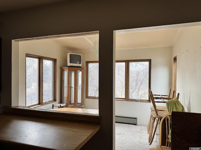 foyer entrance with a baseboard heating unit, carpet, and a wealth of natural light