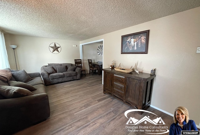 living room with a textured ceiling and hardwood / wood-style flooring