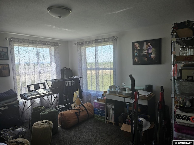 carpeted home office featuring a textured ceiling