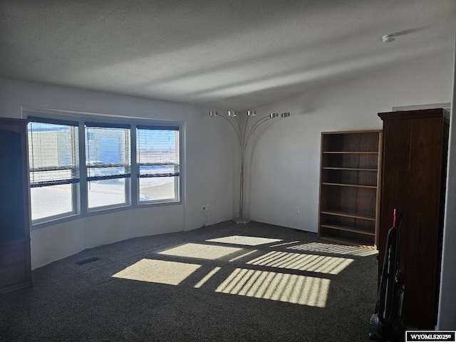 carpeted spare room with a textured ceiling