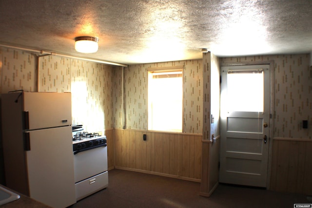 925 Jefferson Ave, Rock Springs, WY 82901 - kitchen featuring white appliances and a healthy amount of sunlight