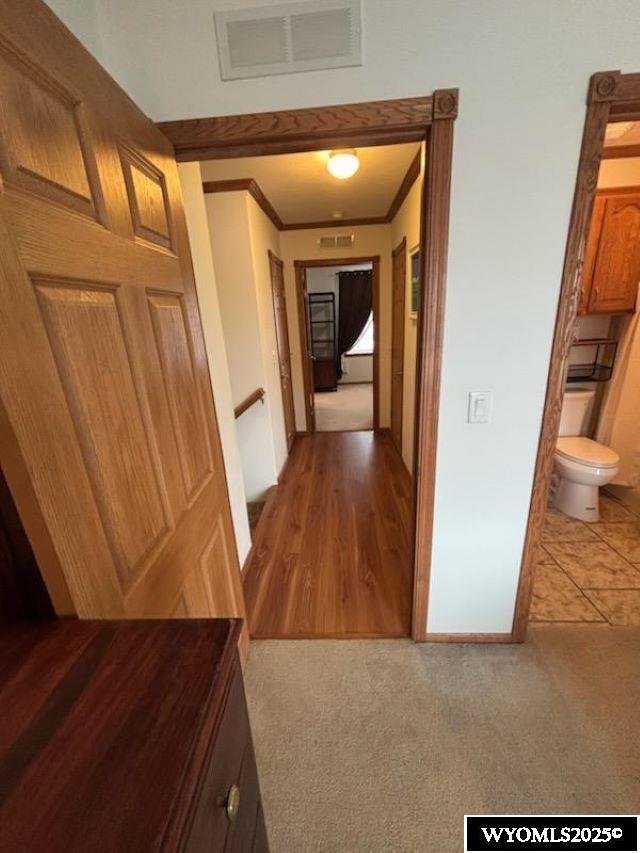 corridor featuring ornamental molding, carpet, visible vents, and baseboards