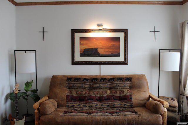 living area featuring crown molding