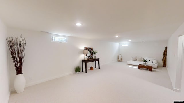 basement featuring carpet