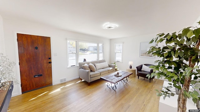 living room with light wood-type flooring