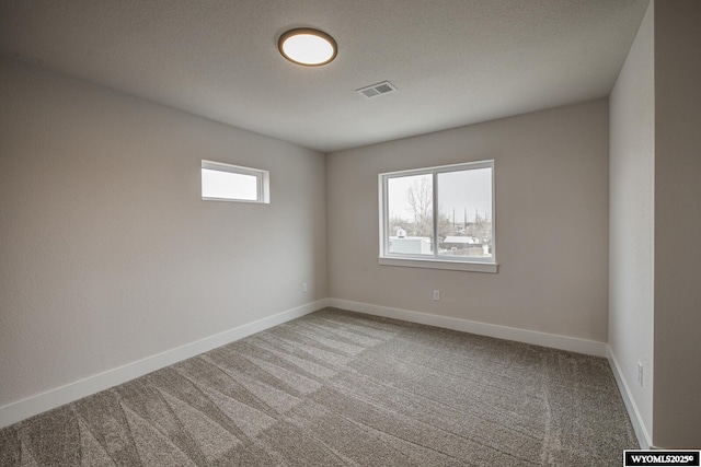 carpeted empty room with a wealth of natural light