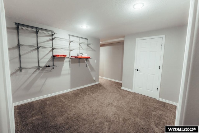 walk in closet with carpet flooring