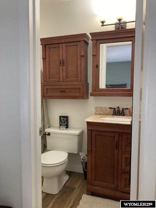 bathroom featuring vanity, hardwood / wood-style floors, and toilet