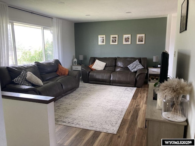 living room with dark hardwood / wood-style flooring