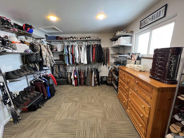 spacious closet featuring light carpet