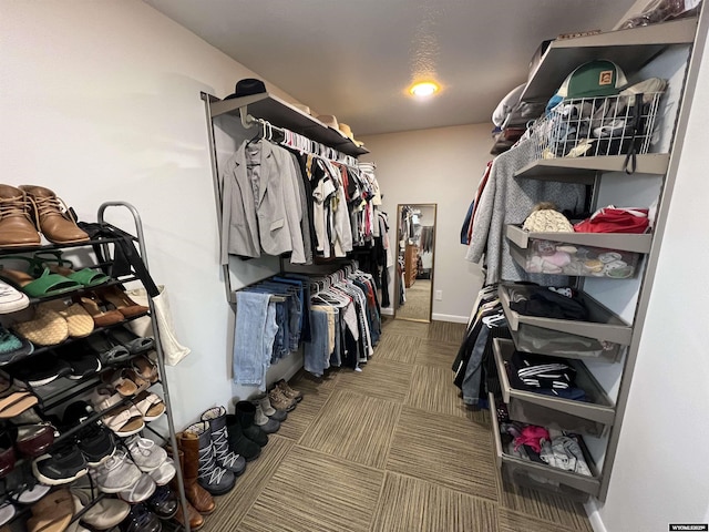 view of spacious closet