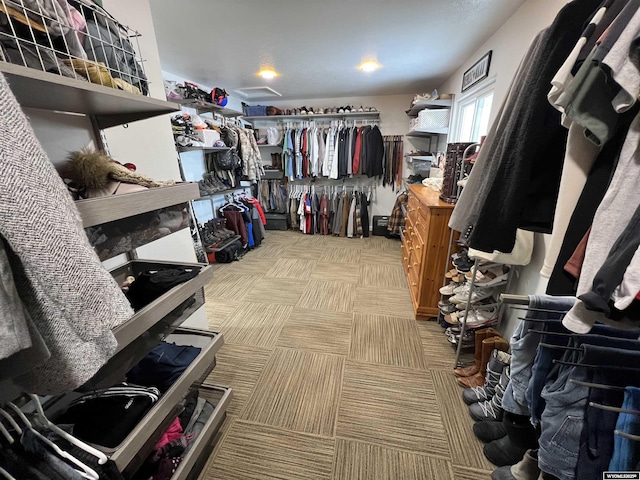 walk in closet featuring light carpet