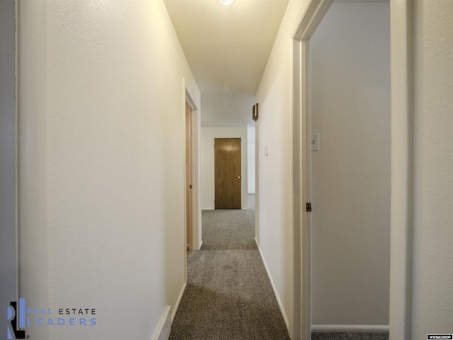 hall featuring light colored carpet