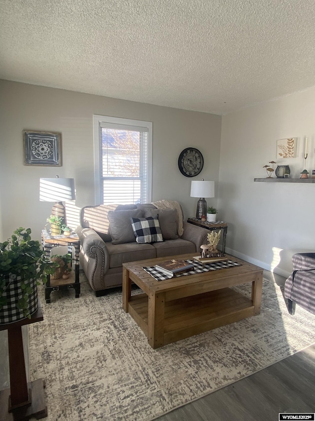 living area featuring baseboards, a textured ceiling, and wood finished floors